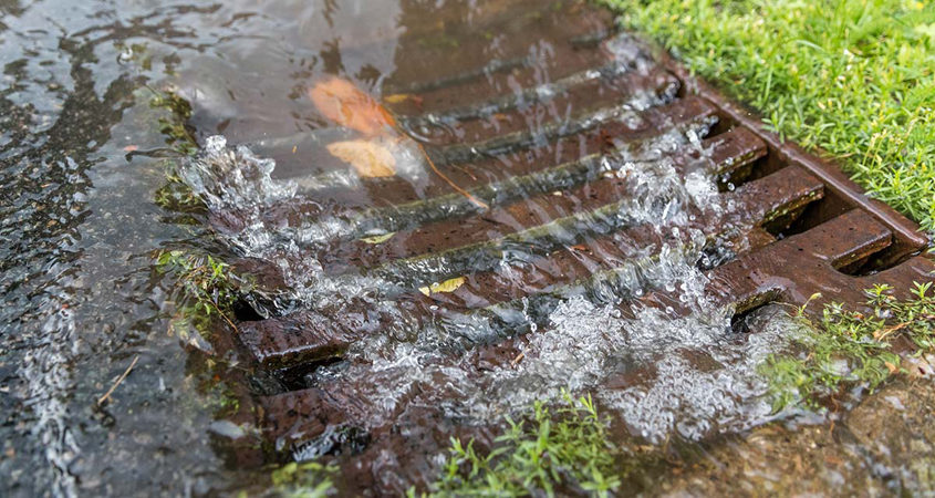 A new County of San Diego online resource can help you protect watershed by diverting it from the storm drain system. Photo: NIH.gov