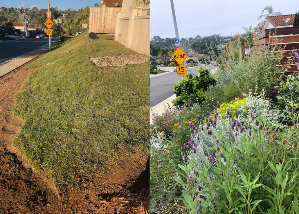 WaterSmart-Landscape Makeover-Olivenhain Municipal Water District