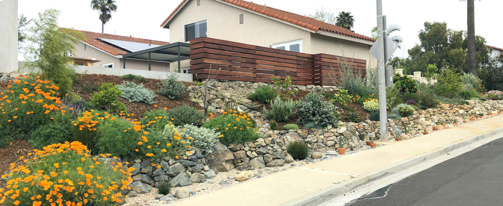 Olivenhain Municipal Water District’s 2020 WaterSmart Landscape Contest winner Laura Lisauskas redid her family’s street-facing sloped side yard. Photo: Olivenhain Municipal Water District
