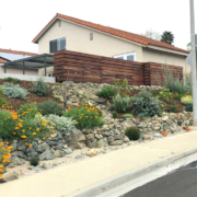 Olivenhain Municipal Water District’s 2020 WaterSmart Landscape Contest winner Laura Lisauskas redid her family’s street-facing sloped side yard. Photo: Olivenhain Municipal Water District