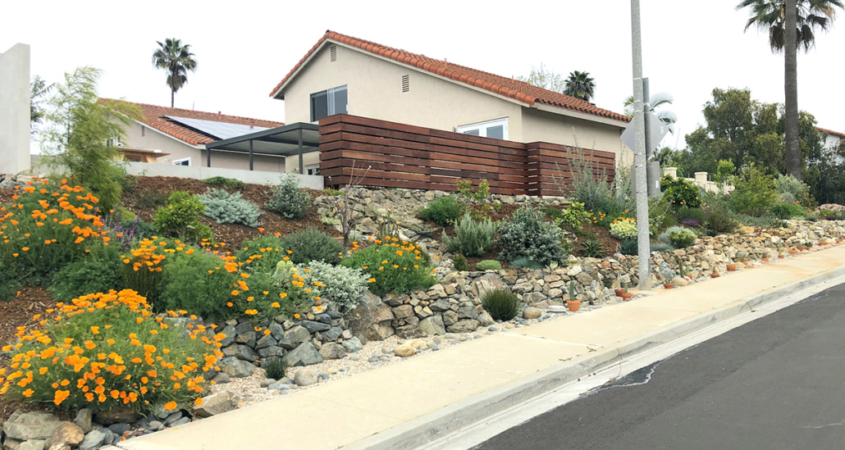 Olivenhain Municipal Water District’s 2020 WaterSmart Landscape Contest winner Laura Lisauskas redid her family’s street-facing sloped side yard. Photo: Olivenhain Municipal Water District