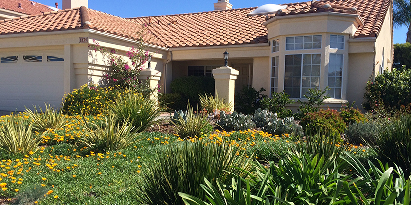 Turf rebates-Fall planting-November 2020-