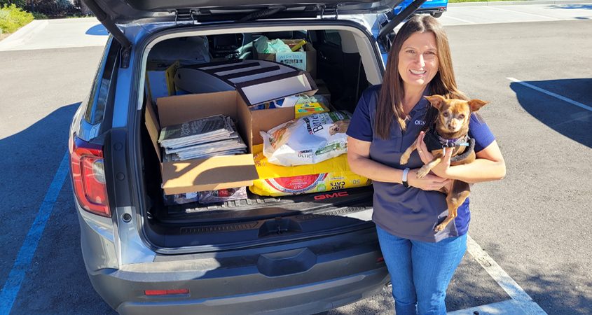Olivenhain Municipal Water District employees make sure pets in need aren't forgotten at the holidays with a donation to the San Diego Humane Society. Photo: Olivenhain Municipal Water District 