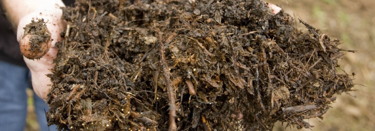 Person holding organic mulch