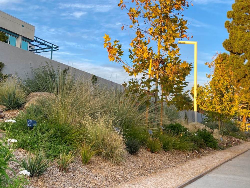 Helix Water District-Landscape-WaterSmart