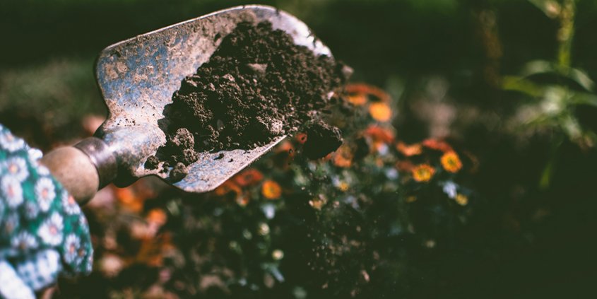 High quality landscape soil will support your WaterSmart landscape design. Photo: Lisa Fotios/Pexels healthy soil