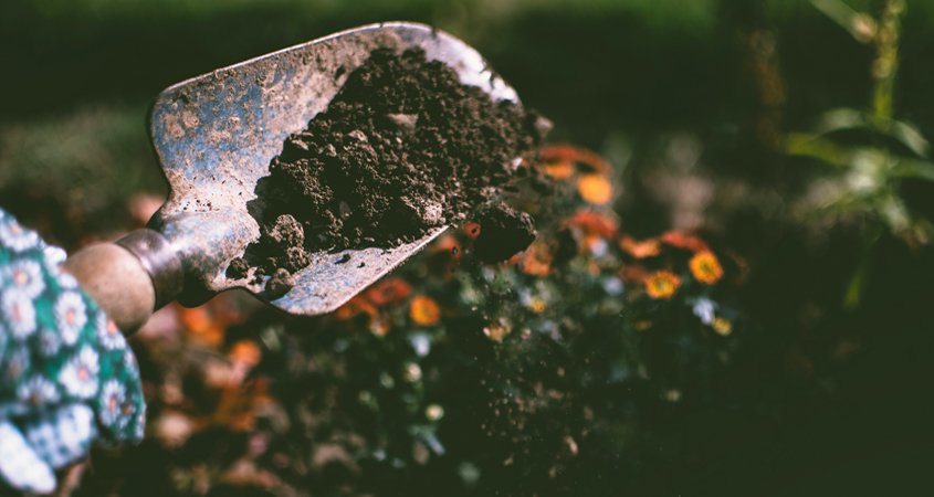 High quality soil will support your WaterSmart landscape design. Photo: Lisa Fotios/Pexels healthy soil