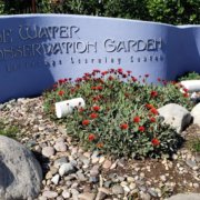 Water Conservation Garden-#FreeDayFriday-conservation