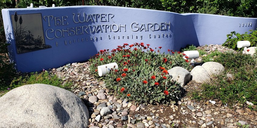 Water Conservation Garden-#FreeDayFriday-conservation