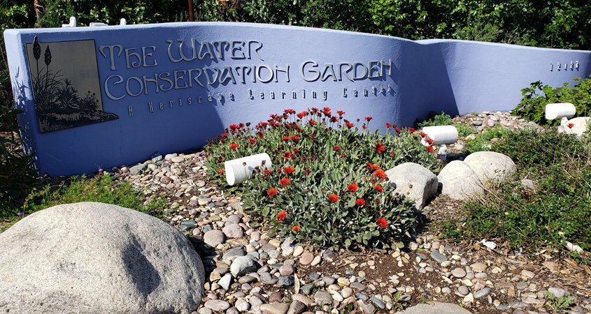 Water Conservation Garden-#FreeDayFriday-conservation