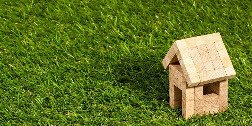 Soil Microbes-your lawn-healthy soil-Conservation Corner