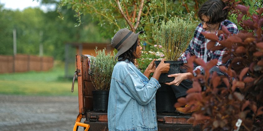 Landscape professionals can help advise you on planning your waterwise landscape and choice of plants. Photo: Anna Shvetsova / Pexels professional guidance