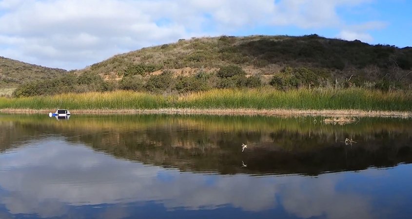 South Lake Reservoir is home to freshwater fish and abundant aquatic plant life, waterfowl, quail, doves, deer, rabbits, raccoons, skunks, squirrels, bobcats, and coyotes. Photo: Vallecitos Water District