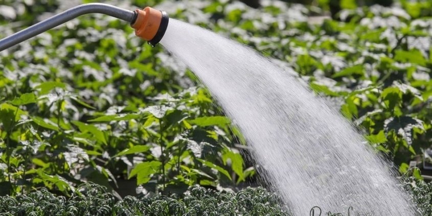 SAWR-Water Rates-Crops-Agriculture