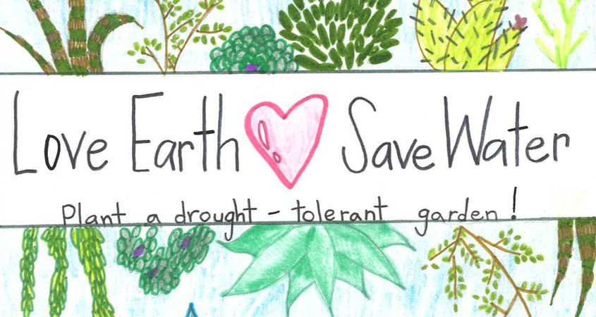 Student poster contest winner Emaline Kennedy illustrated her entry with low water use plants. Photo: Vista Irrigation District Contests