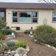 Sweetwater Authority-Landscape Makeover-Native Plants-Drought