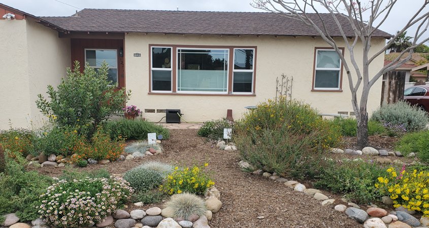 Sweetwater Authority-Landscape Makeover-Native Plants-Drought