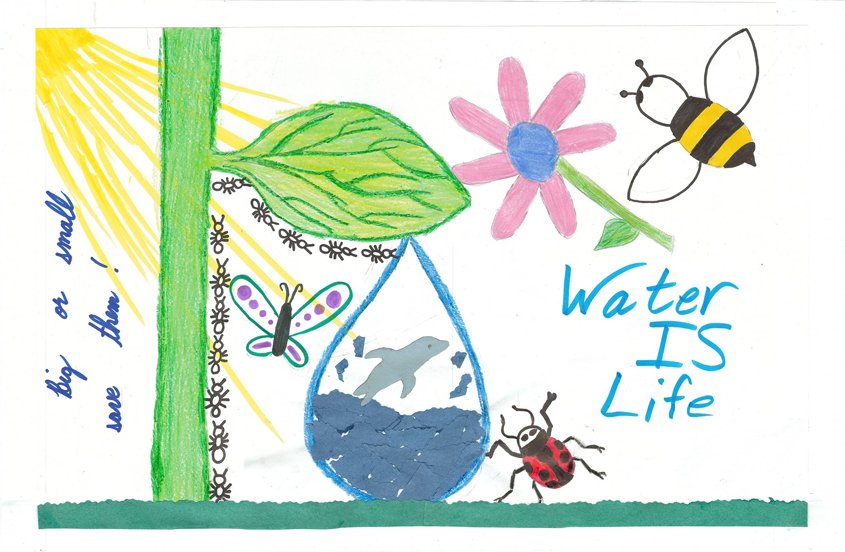 First Place – Sofia Cardenas Loera, Lighthouse Christian Academy, Lemon Grove, Grade 3