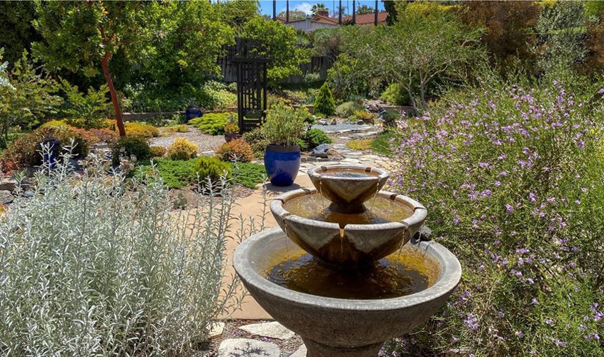 The garden includes meandering pathways, each offering different scenery and views. Photo: Helix Water District