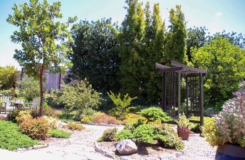 The Asian-theme garden attracts birds and butterflies. Photo: Helix Water District unused pool