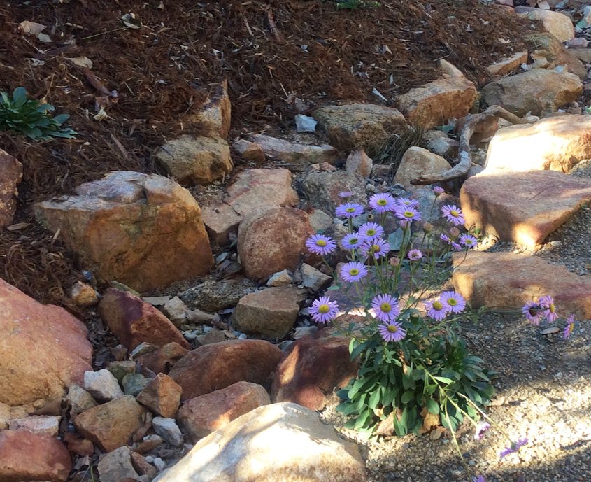 The landscaping plan includes features like this dry riverbed. Photo: City of Escondido native plants