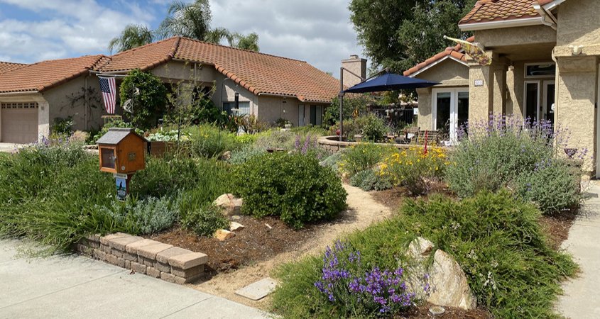 Native plants-drought-City of Escondido-Landscape Makeover