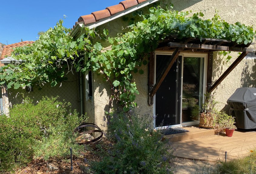 The Everetts' landscaping shows it's possible to have a lush yard and still be waterwise. Photo: City of Escondido native plants