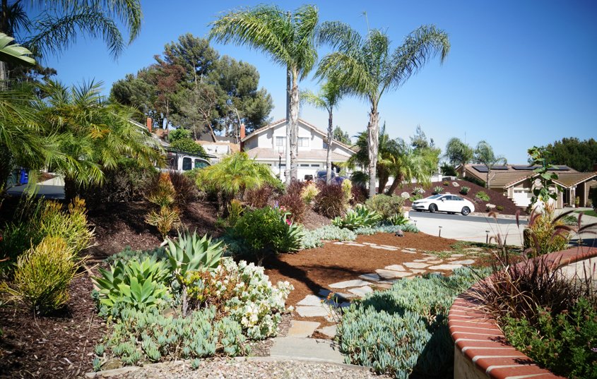 The new landscaping continues to evolve with new features. Photo: Otay Water District El Cajon homeowner