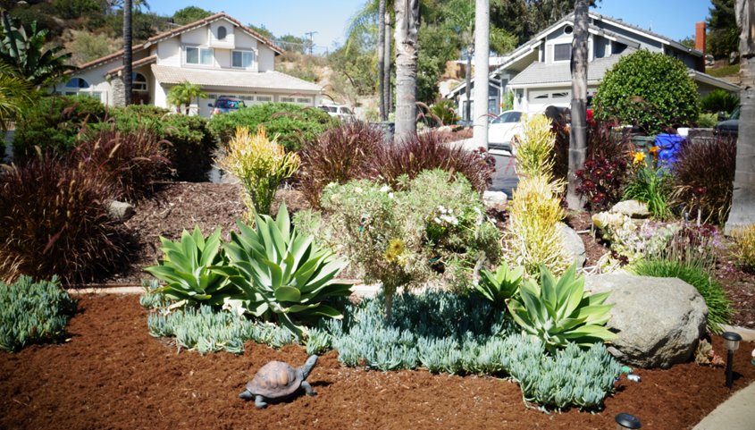 The new landscape now includes a drip-irrigation system, rotating nozzles, and a smart irrigation controller to schedule efficient water use. Photo: Otay Water District