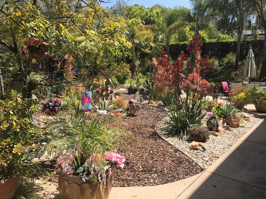 The Brandt home with its new drought-tolerant landscaping. Photo: Vista Irrigation District Vista 2021 Contest