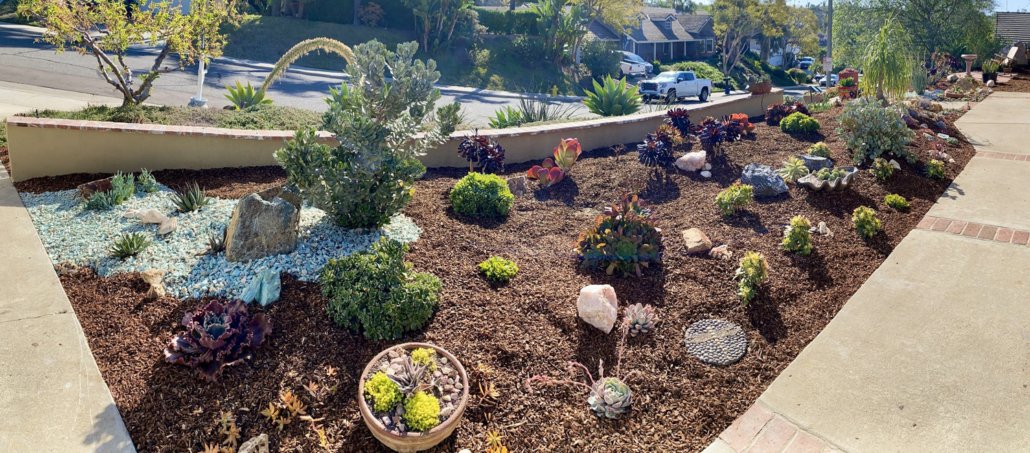 Lauren Grey's new landscaping filled with vibrant blooming plants is the 2021 Vista Irrigation District Landscape Makeover Contest winner. Photo: Vista Irrigation District