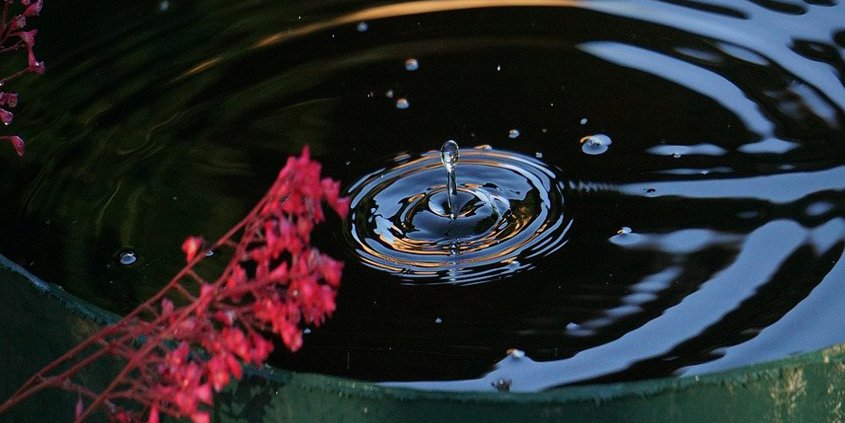 Saving water-water bank-Conservation Cornerrainy day can be used later. Photo": Werner Jukel / Pixabay Bank your water savings