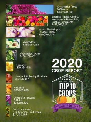 Top Crops-San Diego County-Crop Report-agriculture