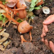 Compost-Conservation Corner-sustainability-WaterSmart-sustainable landscaping