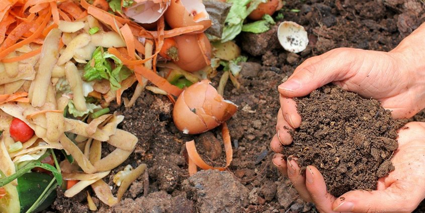 Compost-Conservation Corner-sustainability-WaterSmart-sustainable landscaping