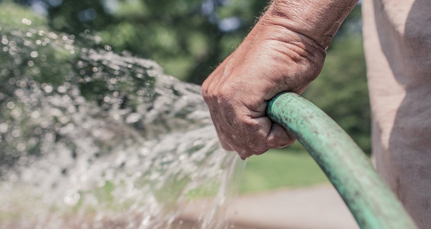 Hand watering can be an effective method to water your landscaping. Photo: Ryan McGuire / Pixabay irrigation tips