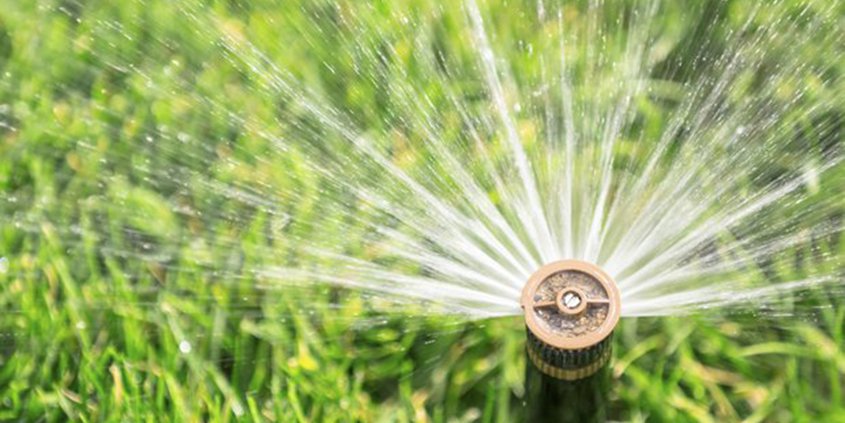Lawn Sprinkler