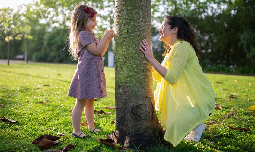 Healthy trees fight climate change and cool our cities, provide habitat, and improve the health of our neighborhoods. Photo: Kampus Production / Pexels