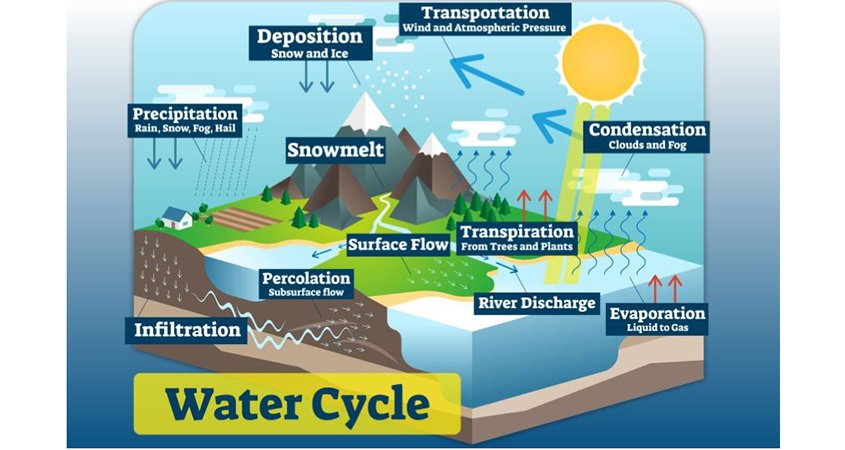 Water Cycle Graphic
