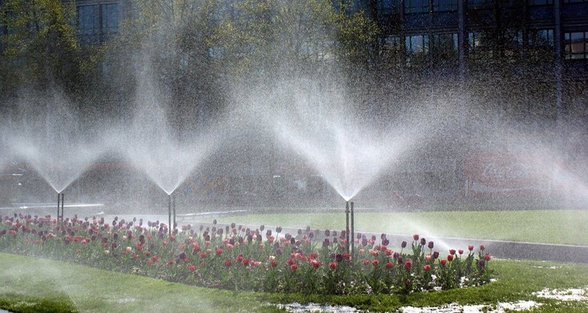 Letting sprinklers run to excess is an example of a poorly performing irrigation system due to bad design, inadequate maintenance, and improper management and it's unacceptable. Photo: Wolfgang Bantz irrigation IQ