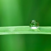 Every drop of water is precious. Maximizing irrigation efficiency goes a long way toward conserving our water resources. Photo: Ju Irun / Pixabay