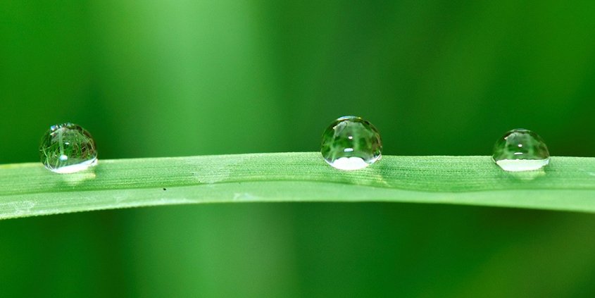 Every drop of water is precious. Maximizing irrigation efficiency goes a long way toward conserving our water resources. Photo: Ju Irun / Pixabay