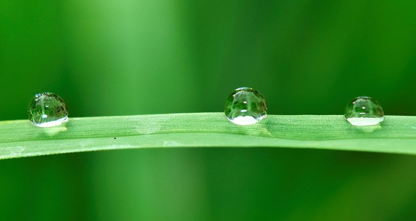 Every drop of water is precious. Maximizing irrigation efficiency goes a long way toward conserving our water resources. Photo: Ju Irun / Pixabay