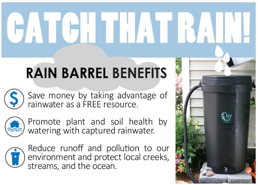 Rain Barrels-Drought-Water Conservation
