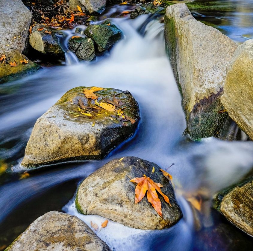 “Serenity” by Peter Montgomery is the 2022 Elfin Forest Recreational Reserve Photo Content "Best in Show." Photo: Olivenhain Municipal Water District