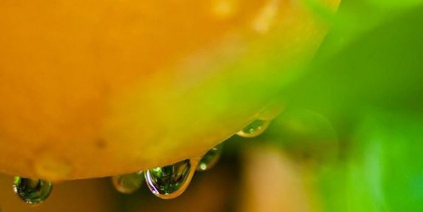 Photographer @rosie_barnett_photography is the 2022 Otay Water District Instagram Photo Content first-place winner.-Otay Water District-drought-Water Conservation