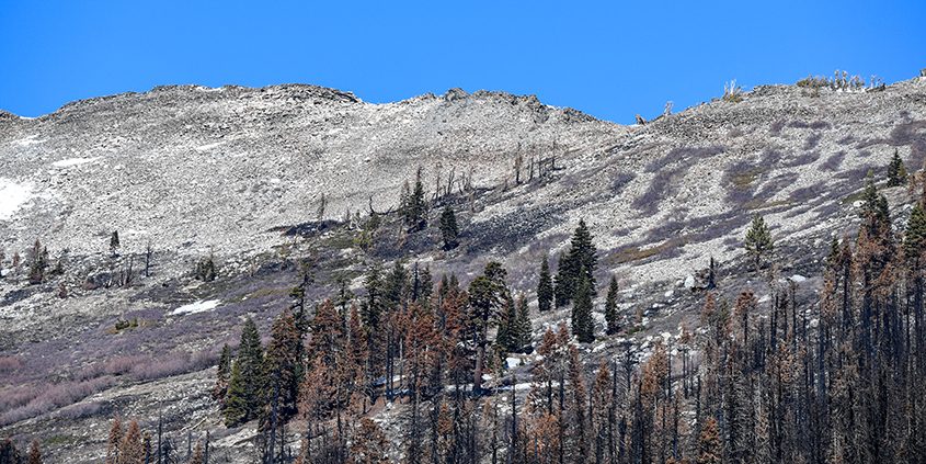California DWR-Phillips Station-Water Conservation-snowpack survey-drought