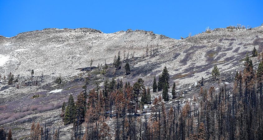 California DWR-Phillips Station-Water Conservation-snowpack survey-drought