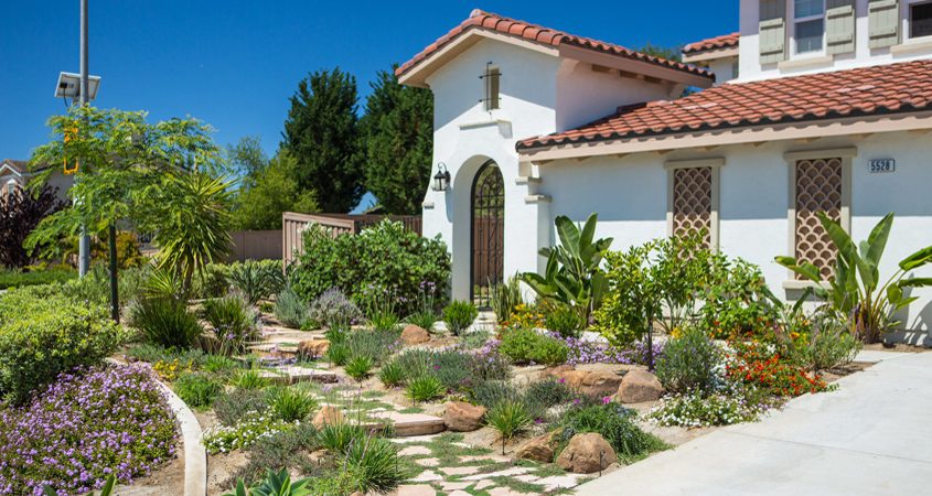 Homeowners can explore many options for showstopping front yards. Photo: San Diego County Water Authority