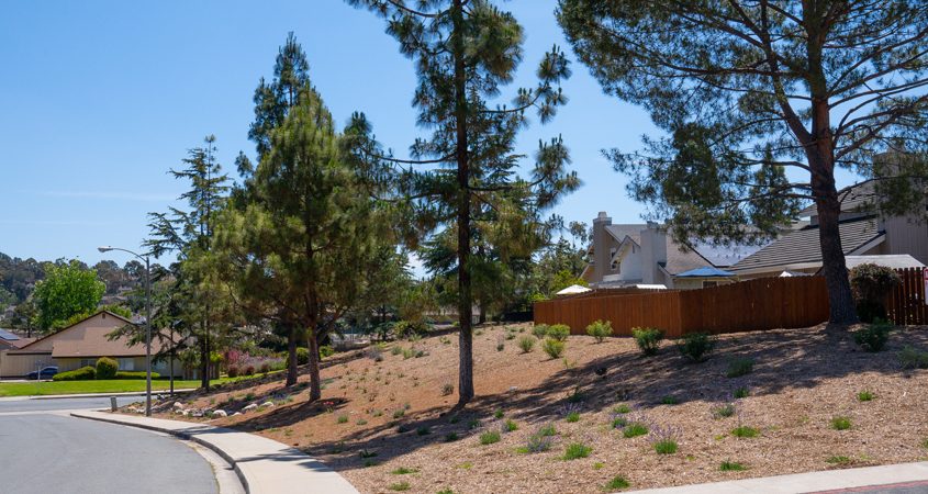 Their project is estimated to reduce water use by almost two million gallons annually. Their total project costs prior to the rebate were approximately $120,000. After the rebates, the HOA paid just $13,000 for the project.